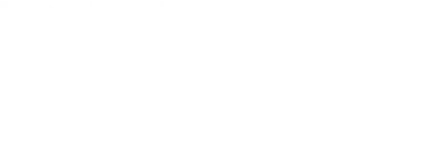 Logo Pulsare Music Records